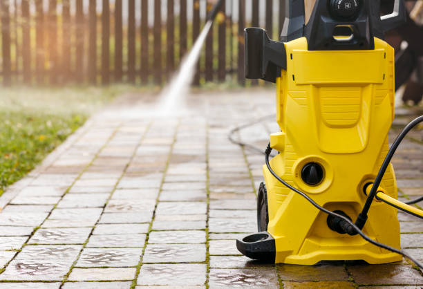 Best Animal Enclosure Cleaning  in Csar Chvez, TX